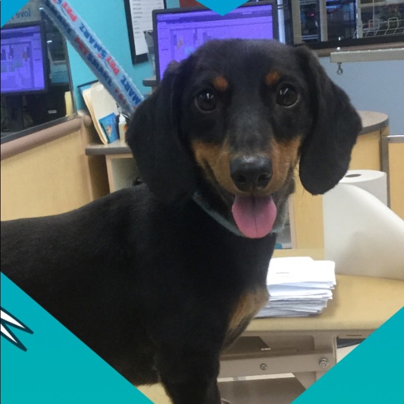 Meet your Posher, Angi - Picture 2 of 3